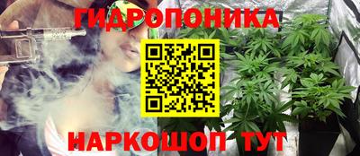 2c-b Лесосибирск