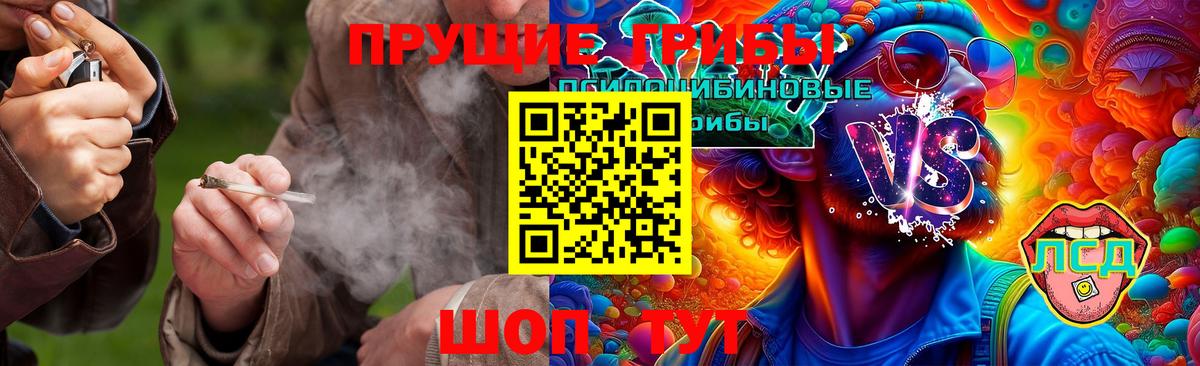 Галлюциногенные грибы Psilocybine cubensis  Вход с VPN  Якутск 